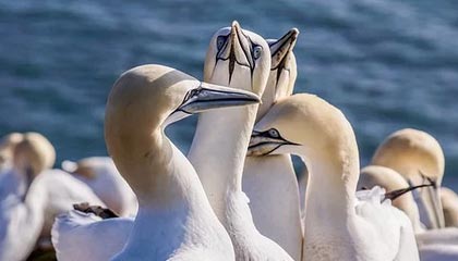 九游娱乐(jiuyou)官网-球队内务协调能力是否被高压比赛磨合得以夯实