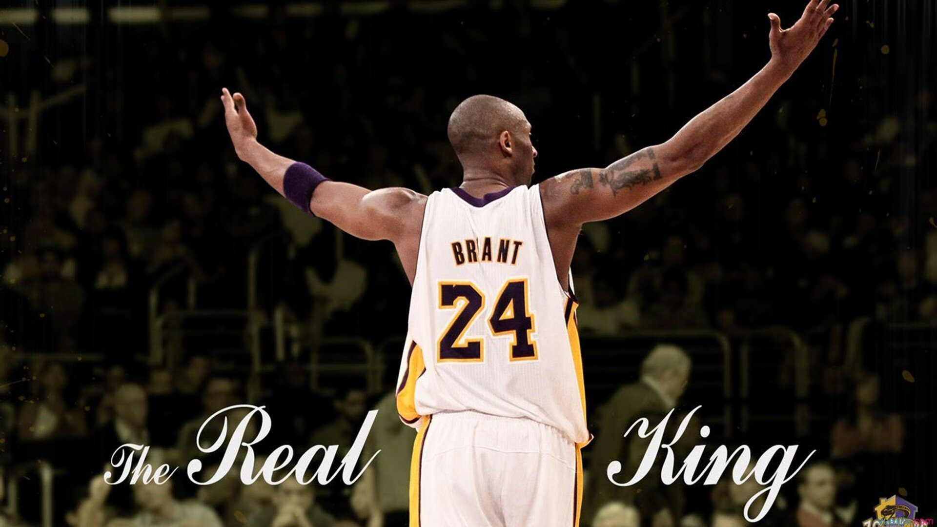 基层橄榄球发展迅速,澳大利亚青训体系全面升级,澳大利亚英式橄榄球联赛